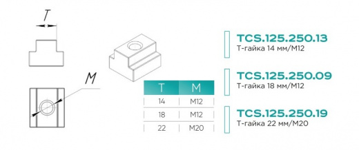 TCS.125.250.09  T-гайка